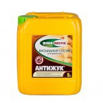 Антисептик WOODMASTER Антижук для древесины 5 л, шт