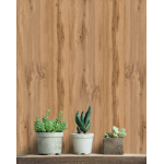 Панель МДФ Classic Stella Light Пекан 2700х200х6 мм, 8 шт/упак