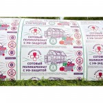 Поликарбонат сотовый Времена года 0,38 кг/м2 прозрачный 6000х2100х4 мм, шт